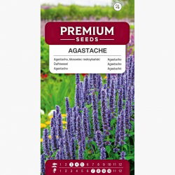 Agastache, Kłosowiec - 210 nasion