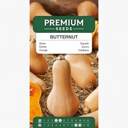 Dynia piżmowa - Butternut - 16 nasion
