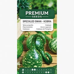 Tykwa pospolita KOBRA - 7 nasion