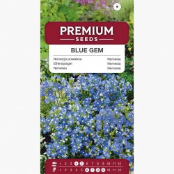 Nemezja powabna - Blue Gem - 1000 nasion