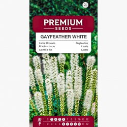 Liatra kłosowa - biała - 150 nasion