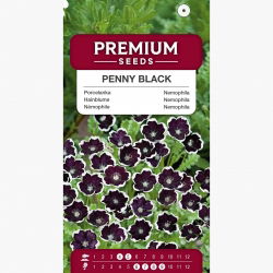 Porcelanka Penny Black - 260 nasion