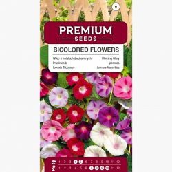 Wilec o dwubarwnych kwiatach - 56 nasion