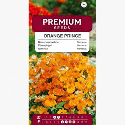 Nemezja powabna Orange Prince - 1000 nasion