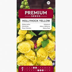 Malwa pełna - żółta - 50 nasion