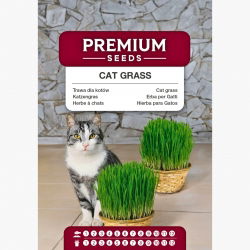 Trawa dla kotów – pokarm ułatwiający trawienie