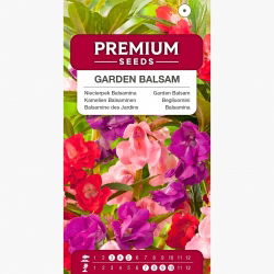 Niecierpek Balsamina - 100 nasion