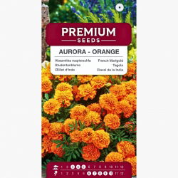 Aksamitka rozpierzchła - pomarańczowa - 300 nasion