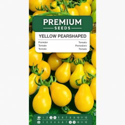 Pomidor wysoki żółty Yellow Pearshaped - 120 nasion