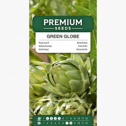 Karczoch Green Globe - 23 nasion