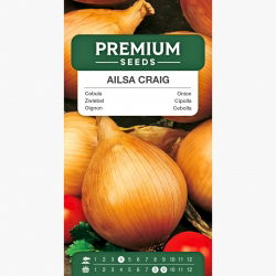 Cebula Ailsa Craig - gigantyczne cebule, nawet 1kg! - 500 nasion