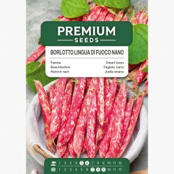 Fasola szparagowa - Borlotto lingua di fuoco nano - 30 nasion