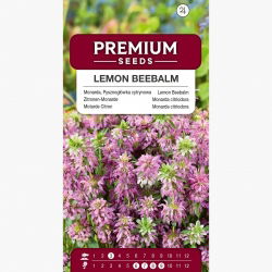 Monarda, Pysznogłówka cytrynowa - 180 nasion