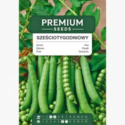 Groch siewny łuskowy sześciotygodniowy - bardzo szybki zbiór! - 200 nasion