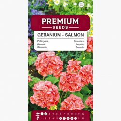 Pelargonia rabatowa łososiowa - 10 nasion
