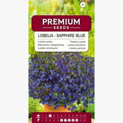 Lobelia zwisła szafirowoniebieska - 3000 nasion