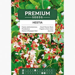 Fasola wielokwiatowa Hestia - ozdobna i jadalna - 2 w 1 - 40 nasion