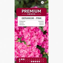 Pelargonia różowa - 11 nasion