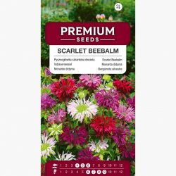 Monarda, pysznogłówka dwoista - mieszanka - 180 nasion