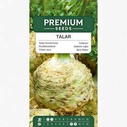 Seler korzeniowy Talar - 900 nasion