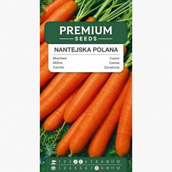 Marchew Nantejska Polana - średnio wczesna - 5100 nasion