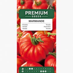 Pomidor Marmande - 200 nasion