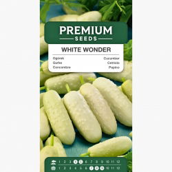 Ogórek biały White Wonder F1 - 80 nasion
