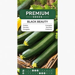 Cukinia Black Beauty - 19 nasion