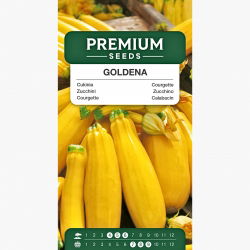 Cukinia Goldena - 27 nasion