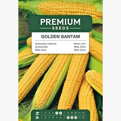 Kukurydza cukrowa Golden Bantam - 100 nasion