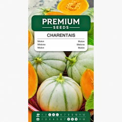 Melon cukrowy Charentais - 90 nasion