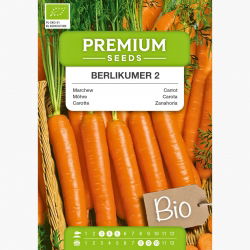 BIO Marchew Berlikumer - Certyfikowane nasiona ekologiczne - 4250 nasion