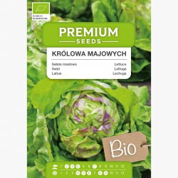 BIO Sałata masłowa Królowa Majowych - Certyfikowane nasiona ekologiczne - 450 nasion