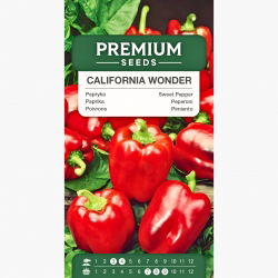 Papryka California Wonder - czerwona, słodka - 55 nasion