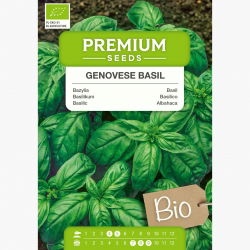 BIO Bazylia Italiano Classico - Certyfikowane nasiona ekologiczne - 325 nasion