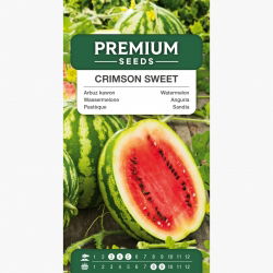 Arbuz, kawon Crimson Sweet - 12 nasion