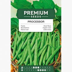 Fasola Processor - szparagowa, średnio wczesna, zielonostrąkowa