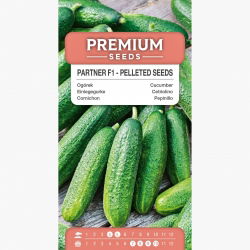 Ogórek Partner F1 – nasiona otoczkowane - 50 nasion