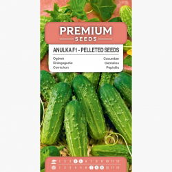 Ogórek gruntowy korniszon Anulka F1- nasiona otoczkowane - 50 nasion