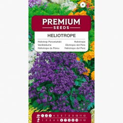 Heliotrop Peruwiański - 200 nasion