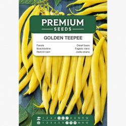 Fasola Golden Teepee szparagowa karłowa - średnio wczesna