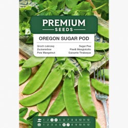 Groszek Oregon Sugar Pod - cukrowy