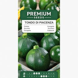 Cukinia Tondo di Piacenza - wczesna, plenna - 18 nasion