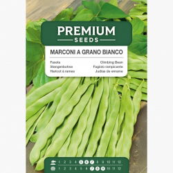 Fasola Marconi a Grano Bianco - szparagowa, tyczna