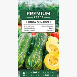 Dynia piżmowa Lunga di Napoli - gigantyczne owoce