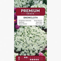 Smagliczka nadmorska Snowcloth - biała, intensywnie pachnąca