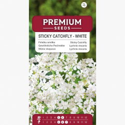 Firletka smółka - biała