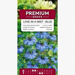 Czarnuszka damasceńska - niebieska