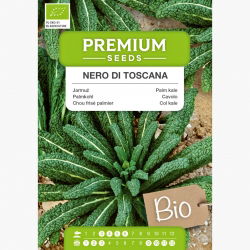 BIO Jarmuż Nero di Toscana