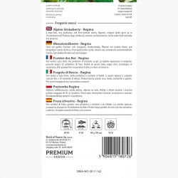 Poziomka wielkoowocowa Regina - 320 nasion